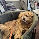Image of Review by Rachel H. on 30 Aug 2025 number 1
