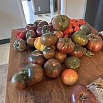 Image of Review by Shane T. on 31 Aug 2025 number 3