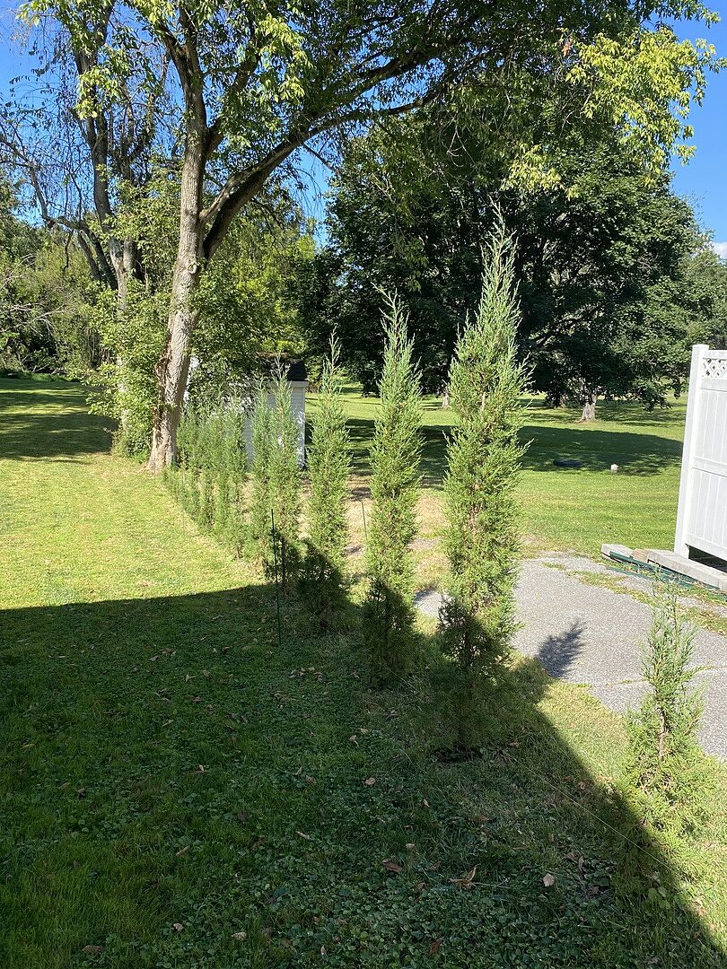2 year update