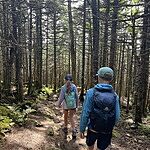 Image of Review by Alisa on  1 Sep 2025 number 1