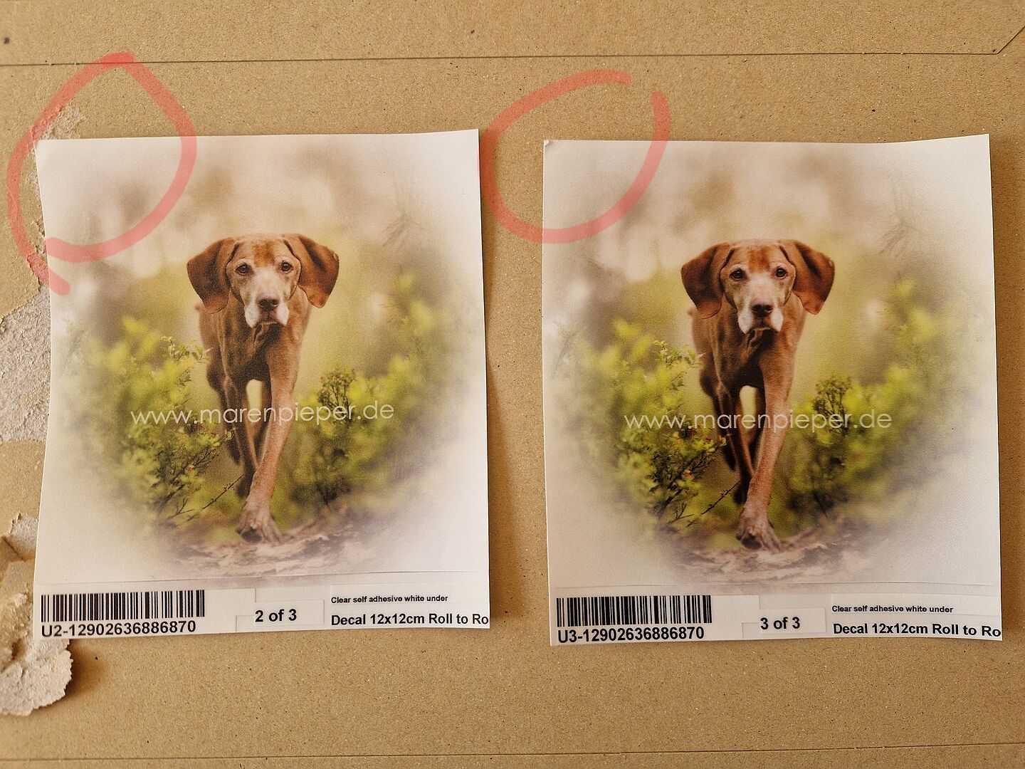 Schnelle Lieferung, schönes Design, leider leicht beschädigt