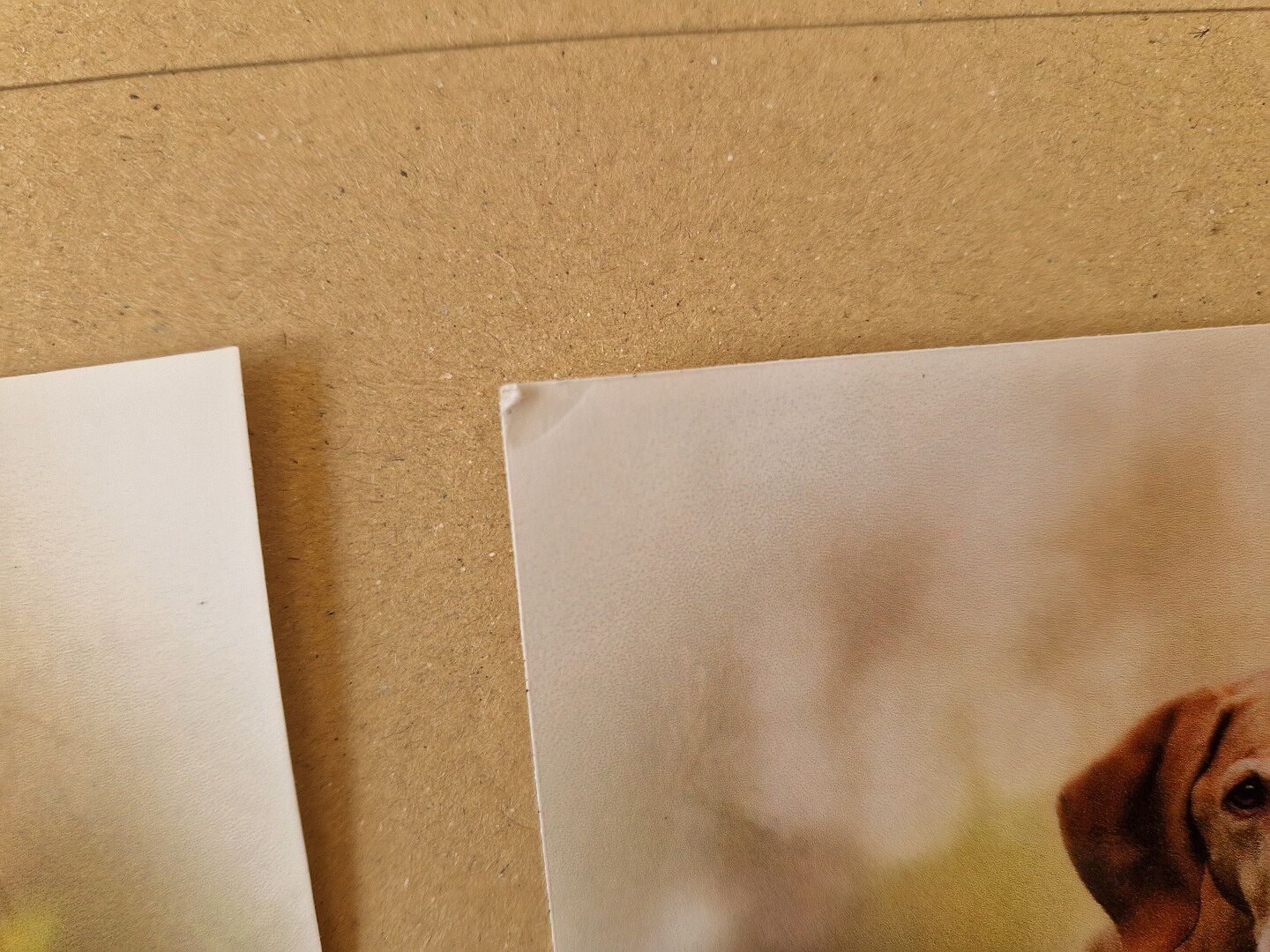 Schnelle Lieferung, schönes Design, leider leicht beschädigt