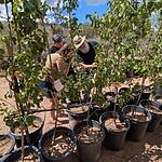 Image of Review by Doug E. on  8 Sep 2025 number 1