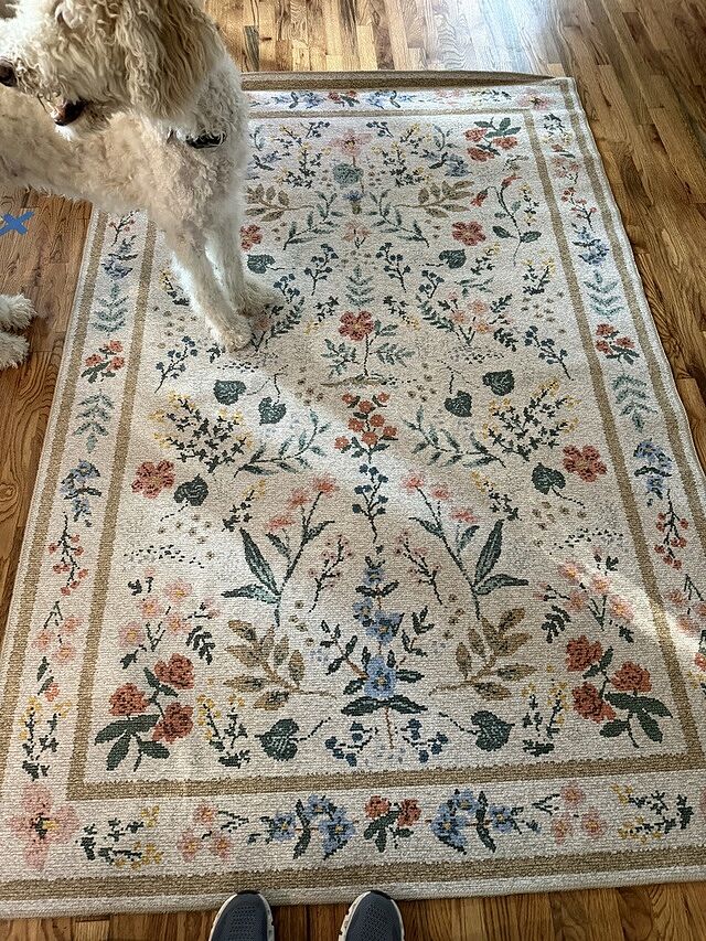 Wildwood WWLD-01 Cream Pretty Little Rug