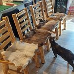 Image of Review by Lorrie O. on 15 Sep 2025 number 1