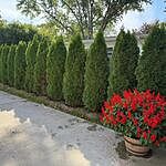 Image of Review by Gregg B. on 16 Sep 2025 number 1