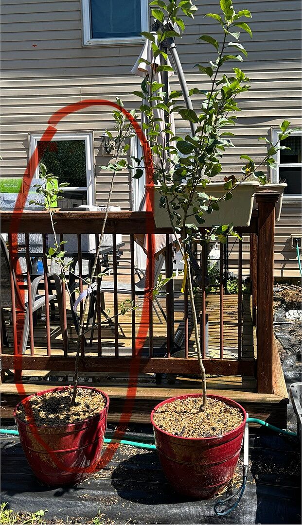 Quick delivery, packaged well. Looks