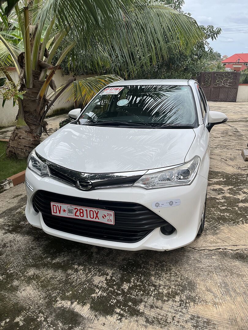 Used 2007 TOYOTA COROLLA AXIO X/DBA-NZE141 for Sale BN796846