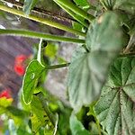 Image of Review by Steph R. on 24 Sep 2025 number 1