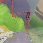 Image of Review by Steph R. on 24 Sep 2025 number 2