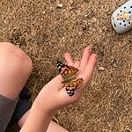 Image of Review by gemma f. on 25 Sep 2025 number 2