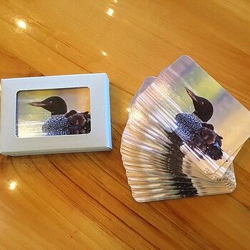 Photo of review by Susan on Sep 26, 2025 #1