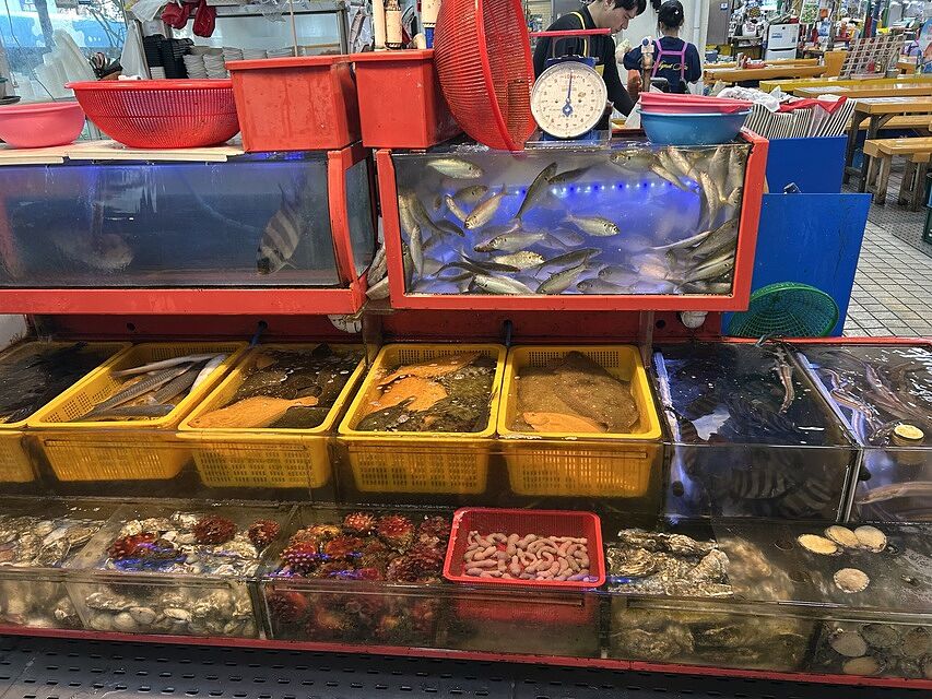 Celebrity Millennium