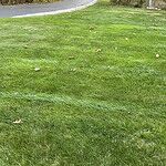 Image of Review by Stanley S. on  3 Oct 2025 number 1