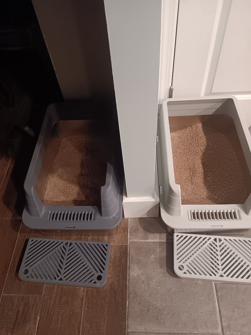 Catalyst Pet customer photo shared by Paul J.