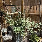 Image of Review by G R. on  5 Oct 2025 number 1