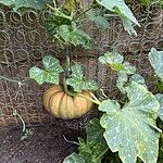 Image of Review by G R. on  5 Oct 2025 number 4