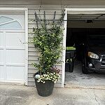 Image of Review by G R. on  5 Oct 2025 number 5