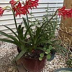 Image of Review by G R. on  5 Oct 2025 number 9