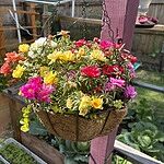 Image of Review by G R. on  5 Oct 2025 number 10