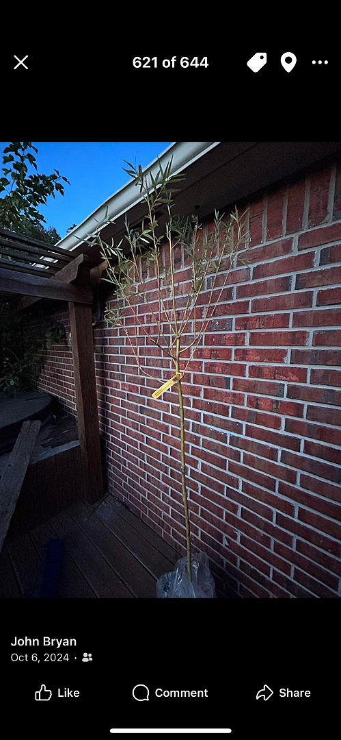 Easily one of our favorites: Fast growth ( See pictures)