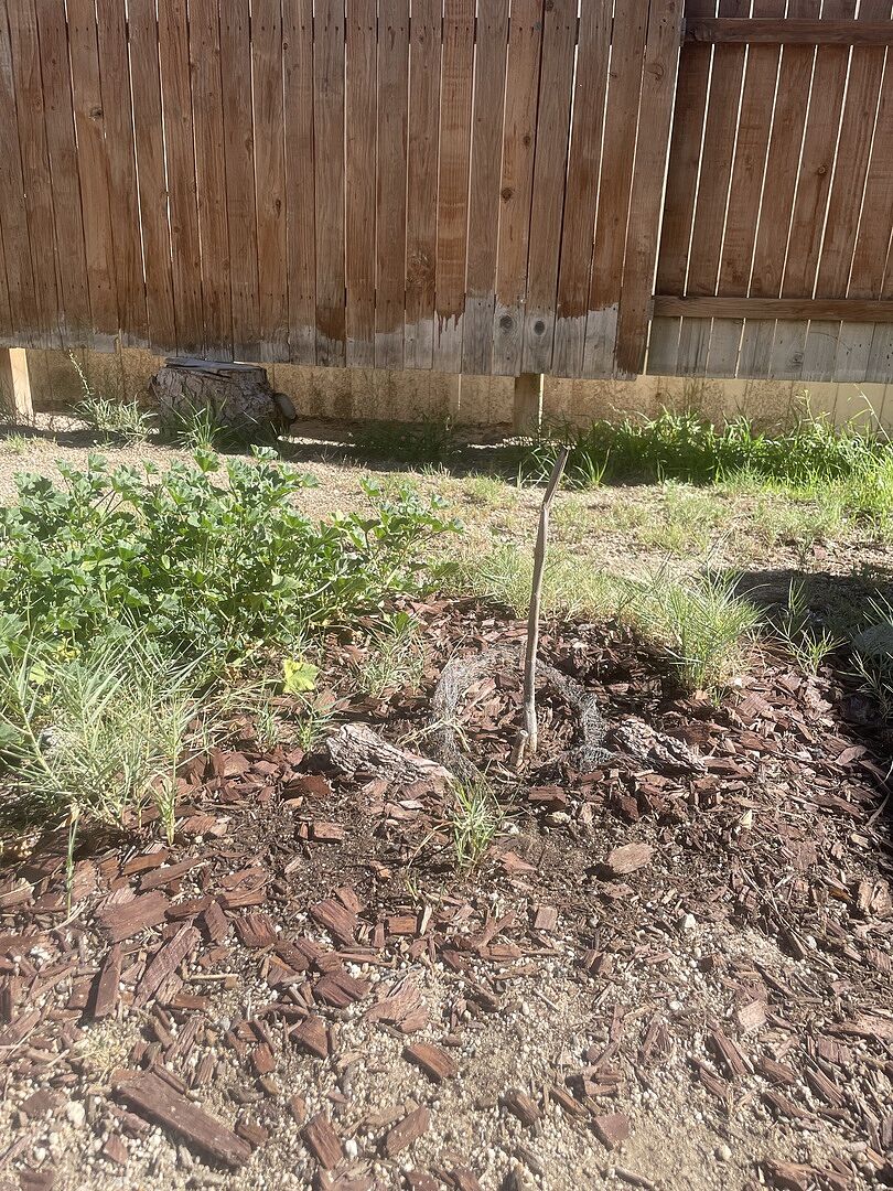 Media from review #2