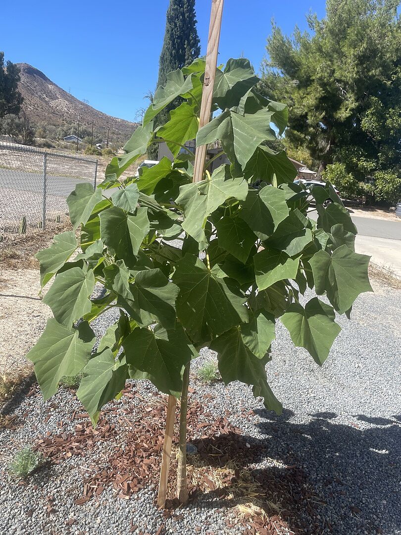 Media from review #3