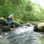 Image of Review by ポール on  6 Oct 2025 number 1