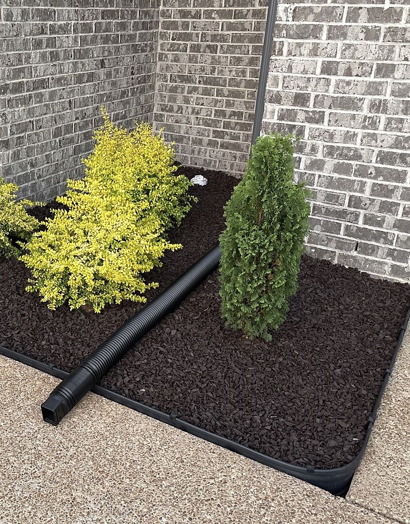 Media from review #2