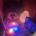 Image of Review by Gemma on  9 Oct 2025 number 1