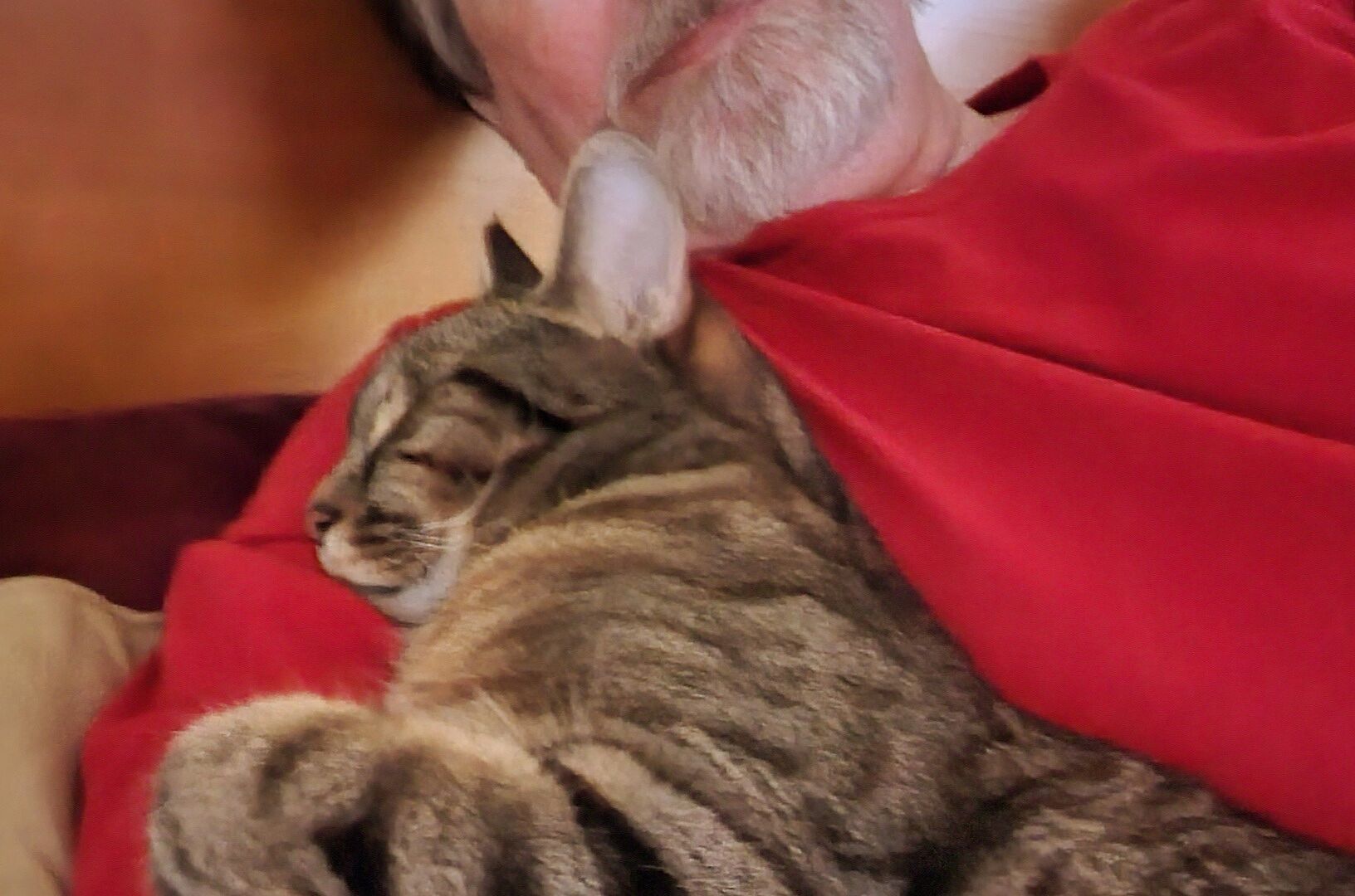 Catalyst Pet customer photo shared by Dave S.
