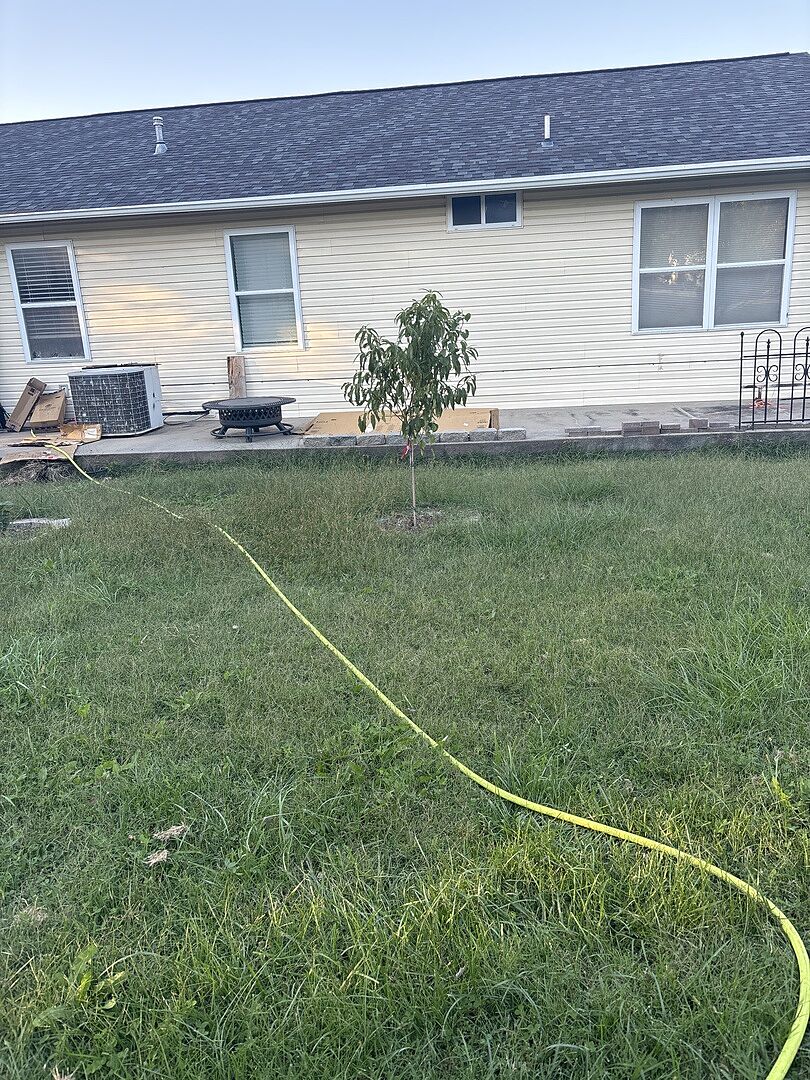 Chocolate mimosa and fruit cocktail tree