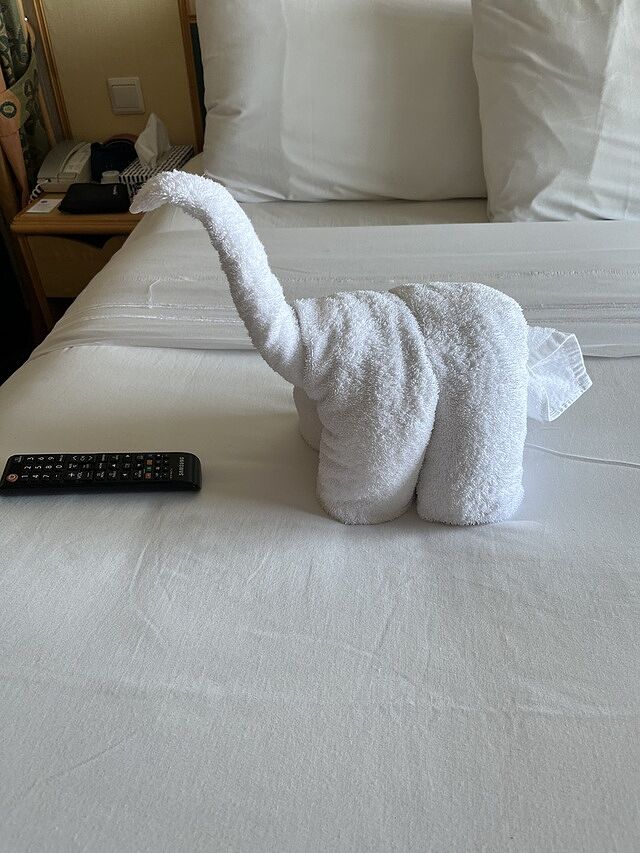 Independence of the Seas