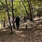 Image of Review by もっちー on 14 Oct 2025 number 1