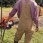 Image of Review by よし on 15 Oct 2025 number 1