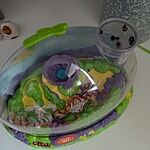 Image of Review by Miss S. on 18 Oct 2025 number 1