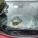Image of Review by Lisa on 18 Oct 2025 number 1