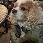 Image of Review by Glenda S. on 22 Oct 2025 number 1