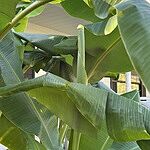 Image of Review by Richard H. on 22 Oct 2025 number 1