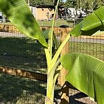 Image of Review by Richard H. on 22 Oct 2025 number 3