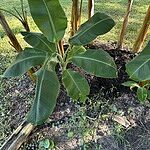 Image of Review by Richard H. on 22 Oct 2025 number 7