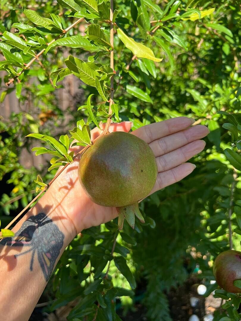 Media from review #3