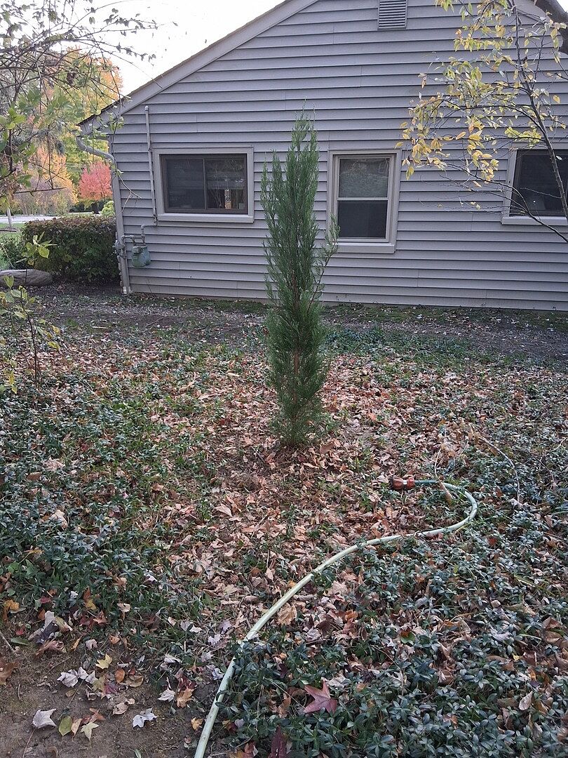 Media from review #2