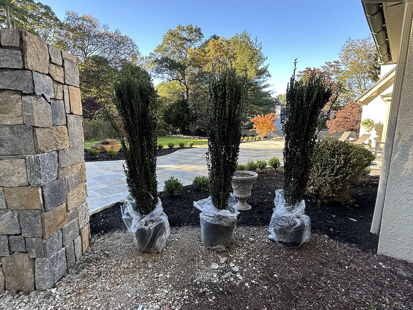 Media from review #1