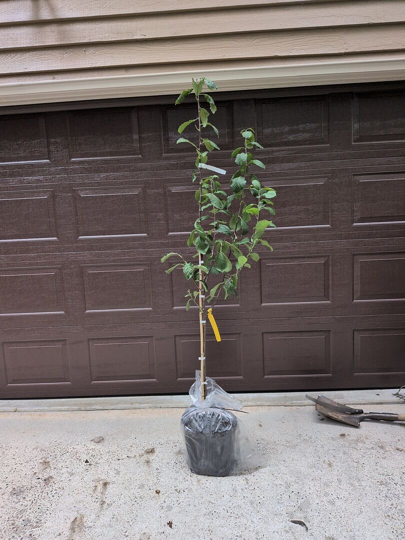 Media from review #2