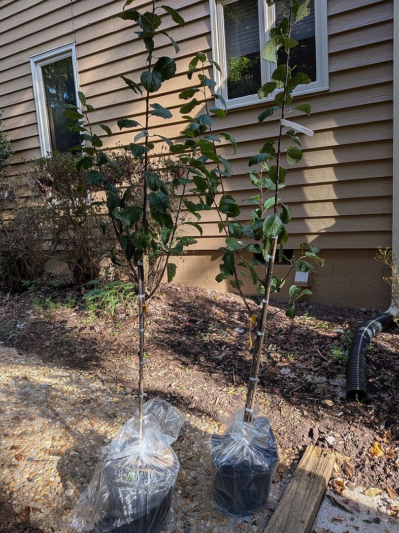 Media from review #1