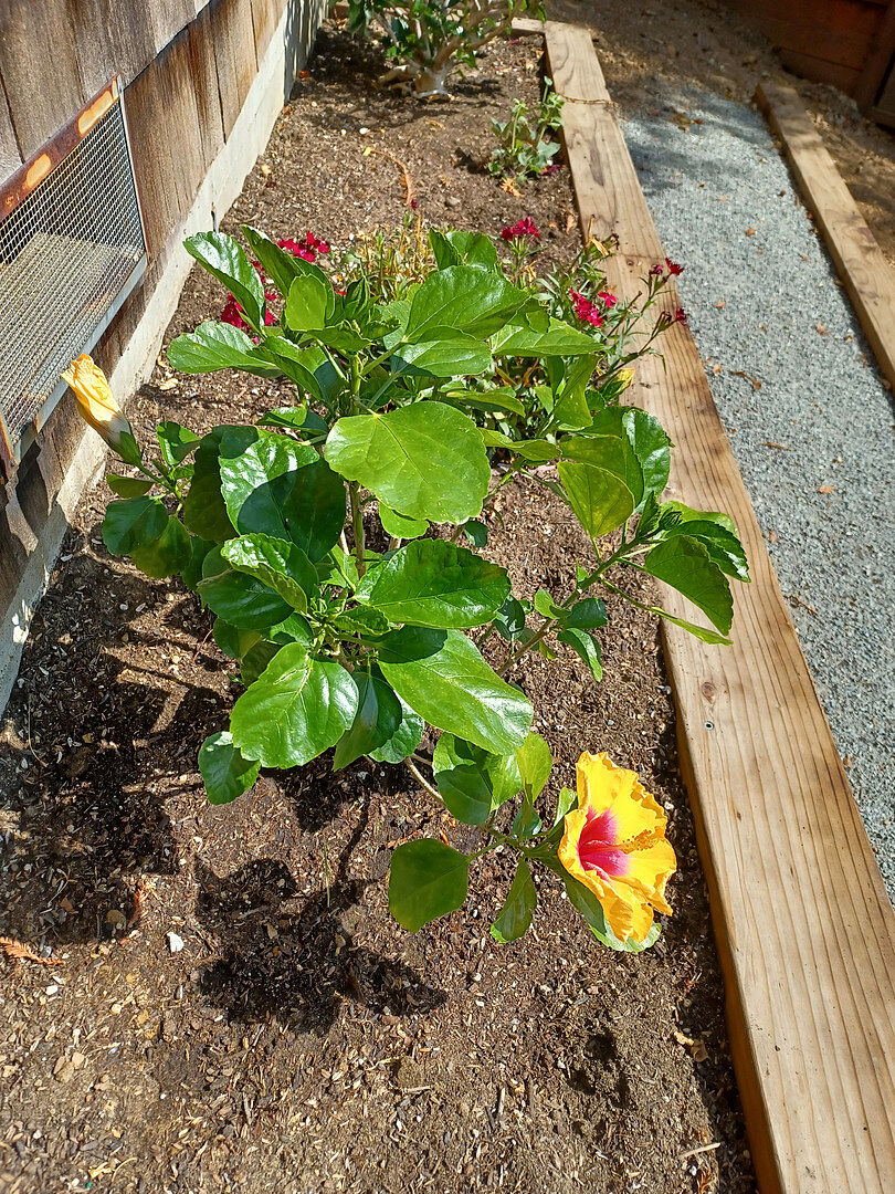 Media from review #1