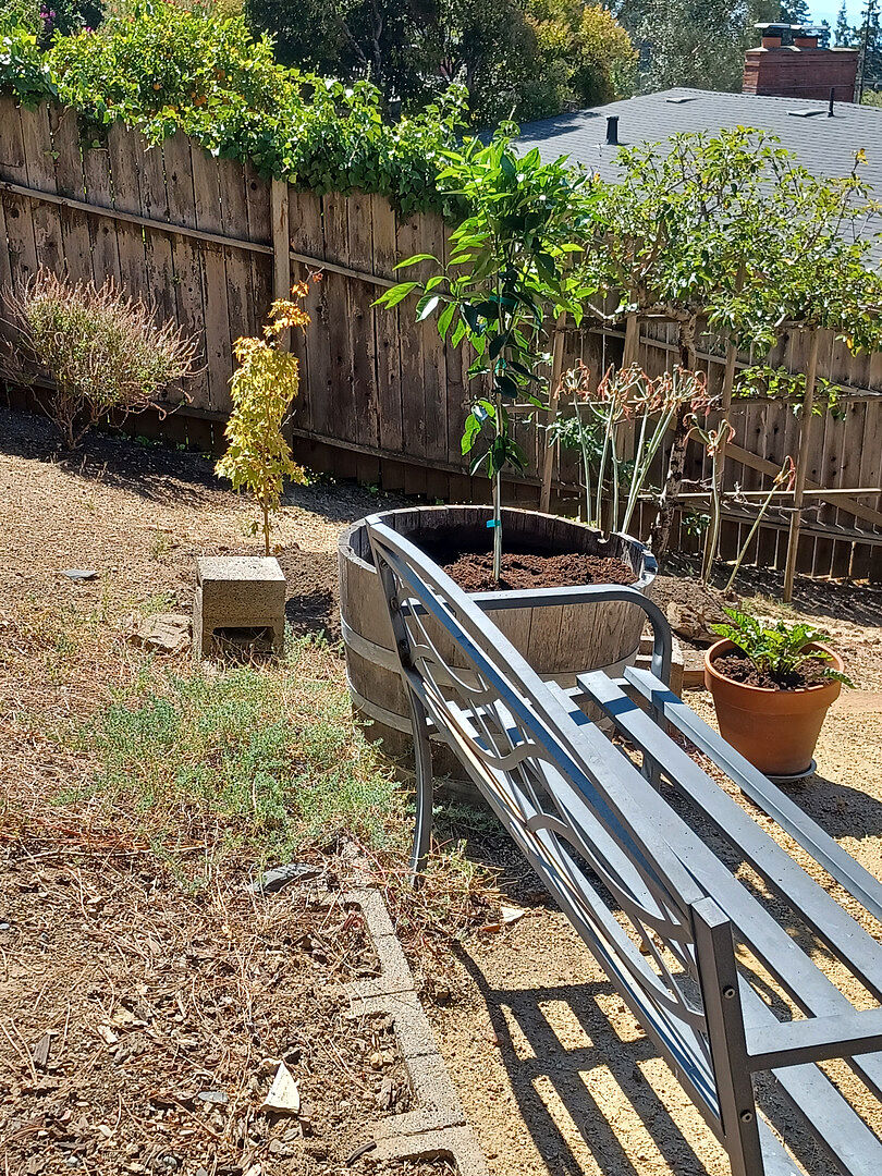 Media from review #2