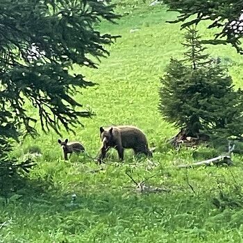 GLOCK 41 Gen 4 .45 AUTO PG4130103 Excellent Duty Gun