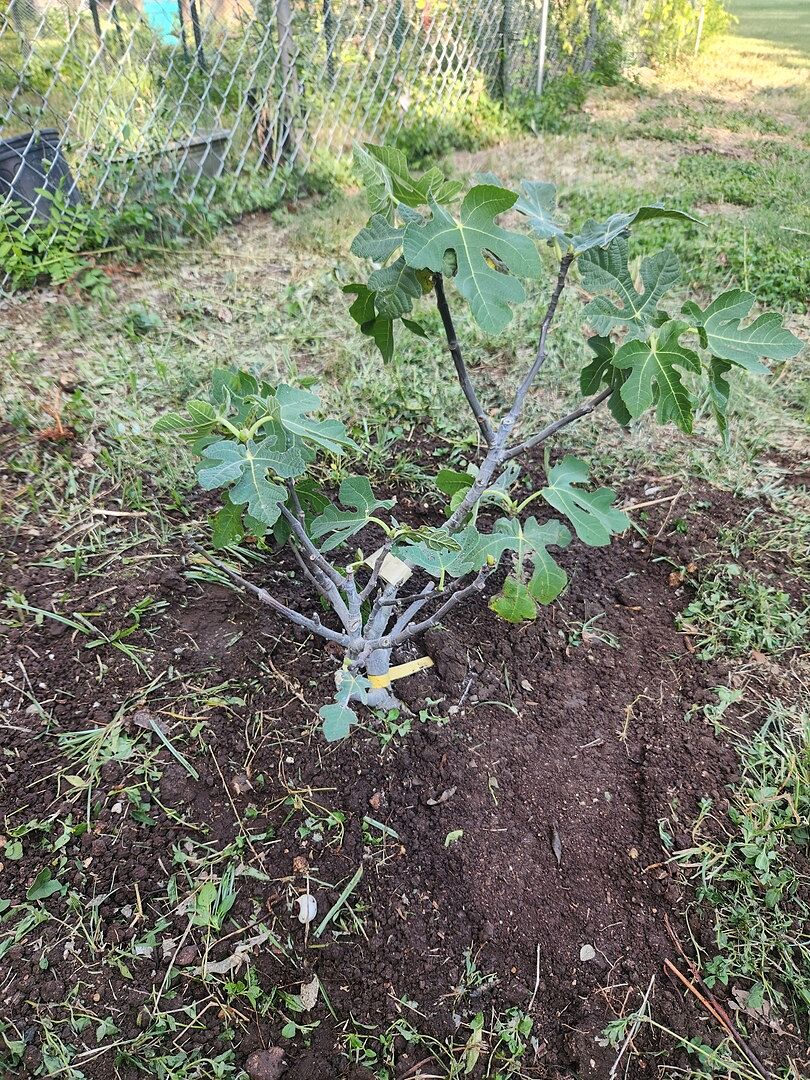 Media from review #3